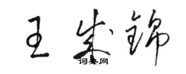 駱恆光王成錦草書個性簽名怎么寫