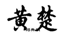 胡問遂黃楚行書個性簽名怎么寫