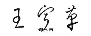 駱恆光王寧革草書個性簽名怎么寫