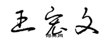 曾慶福王宏文草書個性簽名怎么寫