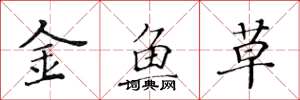 黃華生金魚草楷書怎么寫
