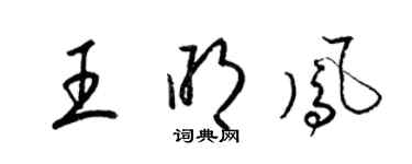 梁錦英王明鳳草書個性簽名怎么寫