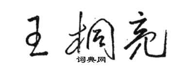 駱恆光王桐亮草書個性簽名怎么寫