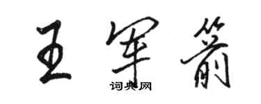 駱恆光王軍箭行書個性簽名怎么寫