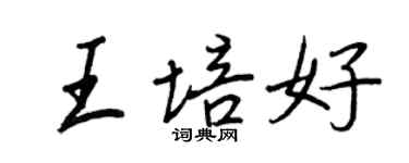 王正良王培好行書個性簽名怎么寫