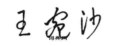 駱恆光王宛沙草書個性簽名怎么寫