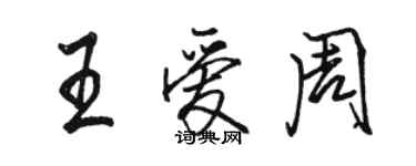 駱恆光王愛周行書個性簽名怎么寫