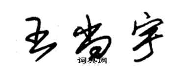 朱錫榮王尚宇草書個性簽名怎么寫