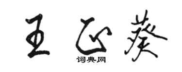 駱恆光王正葵行書個性簽名怎么寫