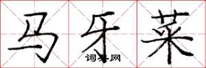 龐中華馬牙菜楷書怎么寫