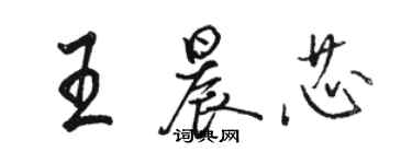 駱恆光王晨芯行書個性簽名怎么寫