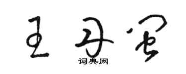 駱恆光王丹閩草書個性簽名怎么寫