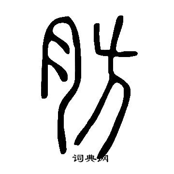 說文解字寫的肪