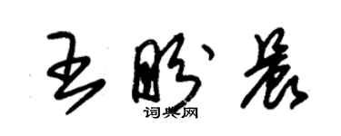 朱錫榮王盼晨草書個性簽名怎么寫