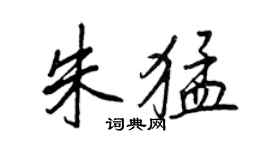 王正良朱猛行書個性簽名怎么寫