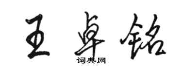 駱恆光王卓銘行書個性簽名怎么寫