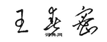 駱恆光王春密草書個性簽名怎么寫