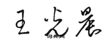 駱恆光王光晨草書個性簽名怎么寫