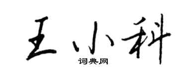 王正良王小科行書個性簽名怎么寫