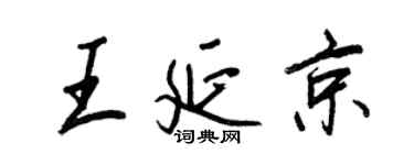 王正良王延京行書個性簽名怎么寫