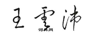 駱恆光王雲沛草書個性簽名怎么寫