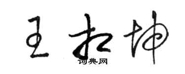 駱恆光王相坤草書個性簽名怎么寫