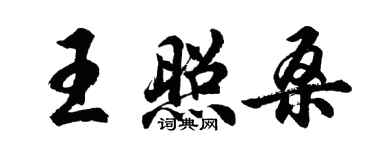 胡問遂王照桑行書個性簽名怎么寫