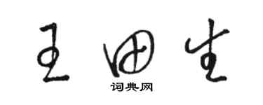 駱恆光王田生草書個性簽名怎么寫