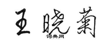 駱恆光王曉菊行書個性簽名怎么寫