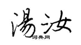 王正良湯汝行書個性簽名怎么寫
