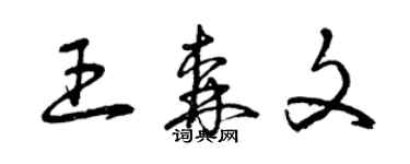 曾慶福王森文草書個性簽名怎么寫