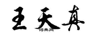 胡問遂王天真行書個性簽名怎么寫