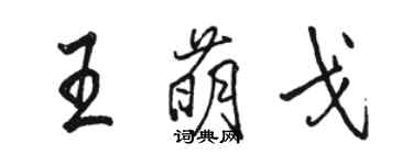 駱恆光王萌戈行書個性簽名怎么寫