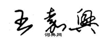 朱錫榮王嘉興草書個性簽名怎么寫