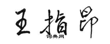 駱恆光王指昂行書個性簽名怎么寫