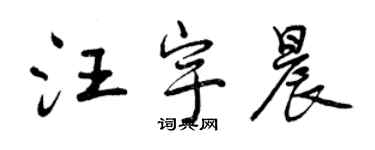 曾慶福汪宇晨行書個性簽名怎么寫