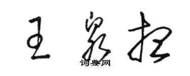 駱恆光王泉想草書個性簽名怎么寫