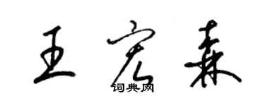 梁錦英王宏森草書個性簽名怎么寫