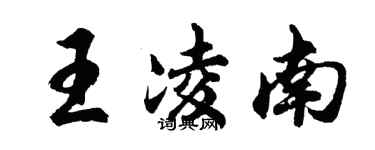 胡問遂王凌南行書個性簽名怎么寫