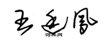 朱錫榮王廷鳳草書個性簽名怎么寫