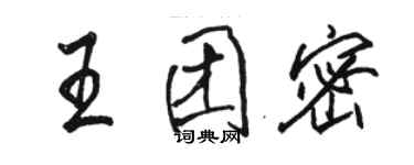 駱恆光王團密行書個性簽名怎么寫