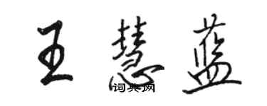 駱恆光王慧藍行書個性簽名怎么寫