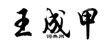 胡問遂王成甲行書個性簽名怎么寫