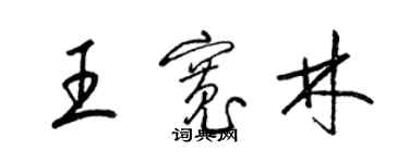 梁錦英王寬林草書個性簽名怎么寫