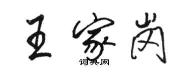 駱恆光王家崗行書個性簽名怎么寫