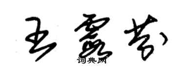 朱錫榮王霞芬草書個性簽名怎么寫