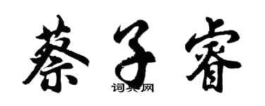胡問遂蔡子睿行書個性簽名怎么寫