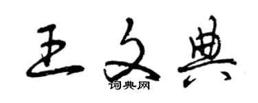 曾慶福王文典草書個性簽名怎么寫