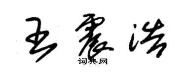 朱錫榮王震浩草書個性簽名怎么寫