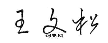 駱恆光王文松草書個性簽名怎么寫